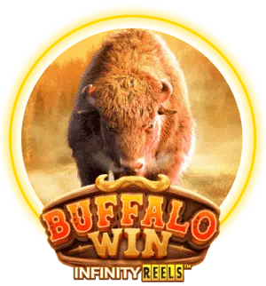 buffalo by เจ้าสัว789